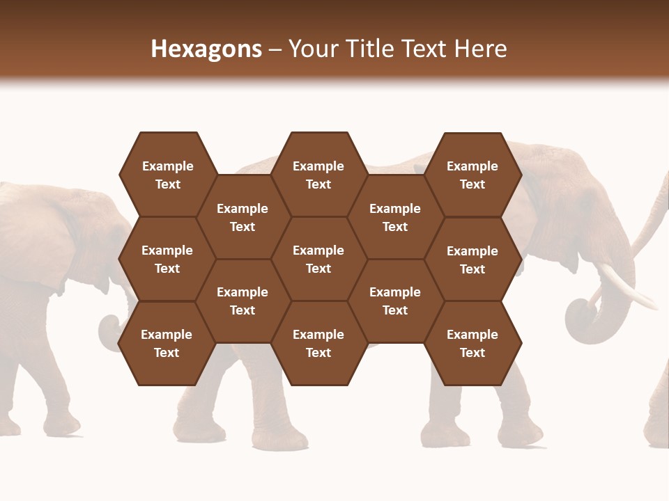 Conceptual Candidates March PowerPoint Template