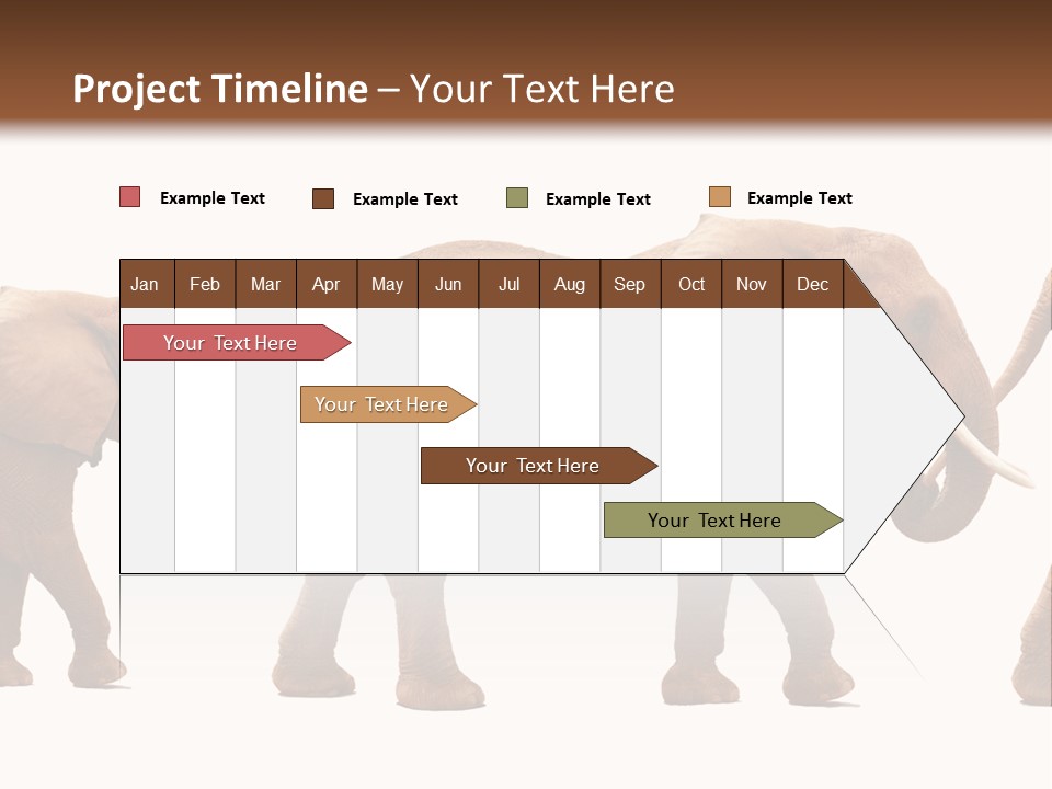 Conceptual Candidates March PowerPoint Template