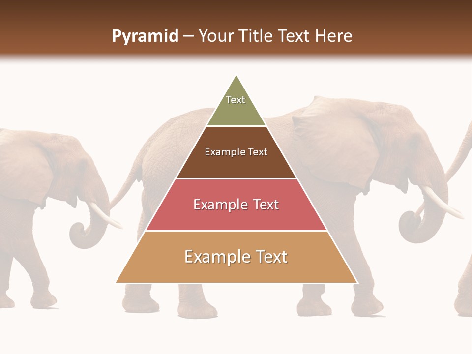 Conceptual Candidates March PowerPoint Template