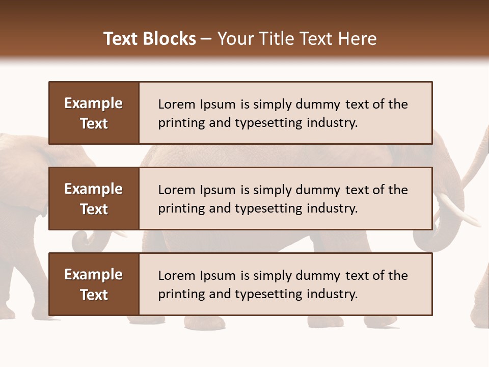 Conceptual Candidates March PowerPoint Template