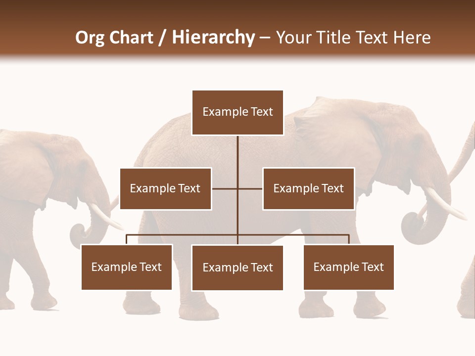 Conceptual Candidates March PowerPoint Template