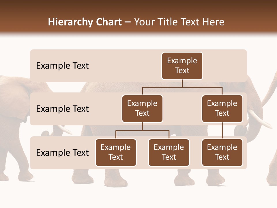 Conceptual Candidates March PowerPoint Template