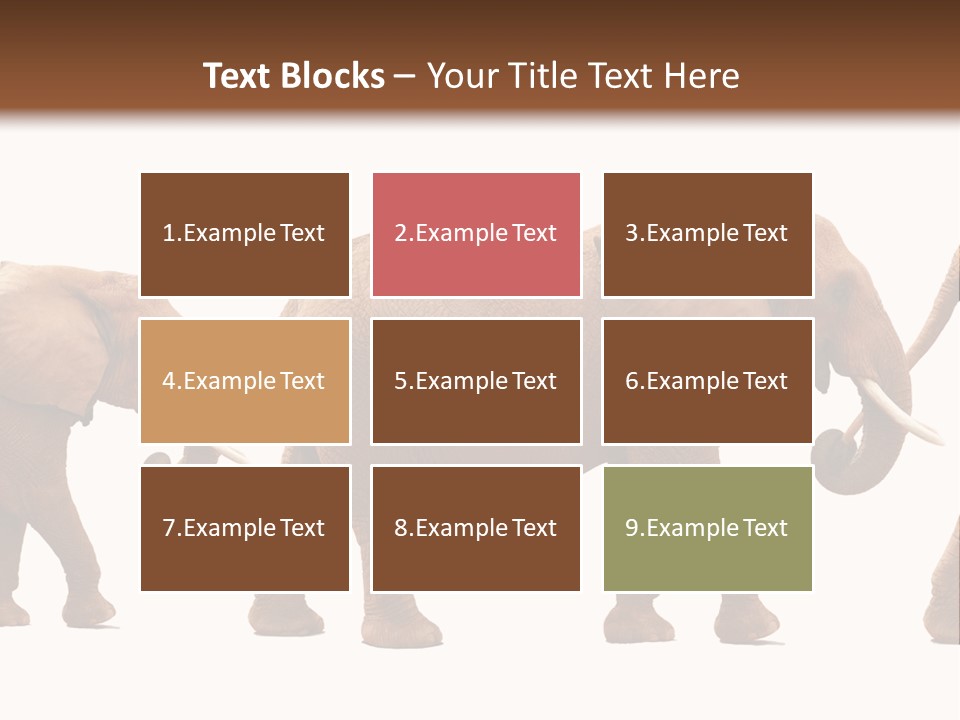 Conceptual Candidates March PowerPoint Template