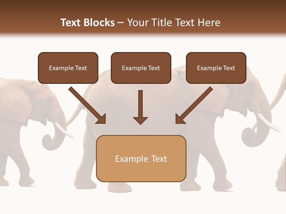 Conceptual Candidates March PowerPoint Template