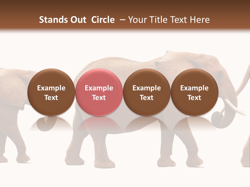 Conceptual Candidates March PowerPoint Template