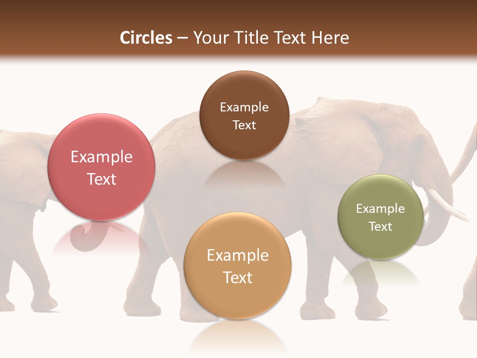 Conceptual Candidates March PowerPoint Template