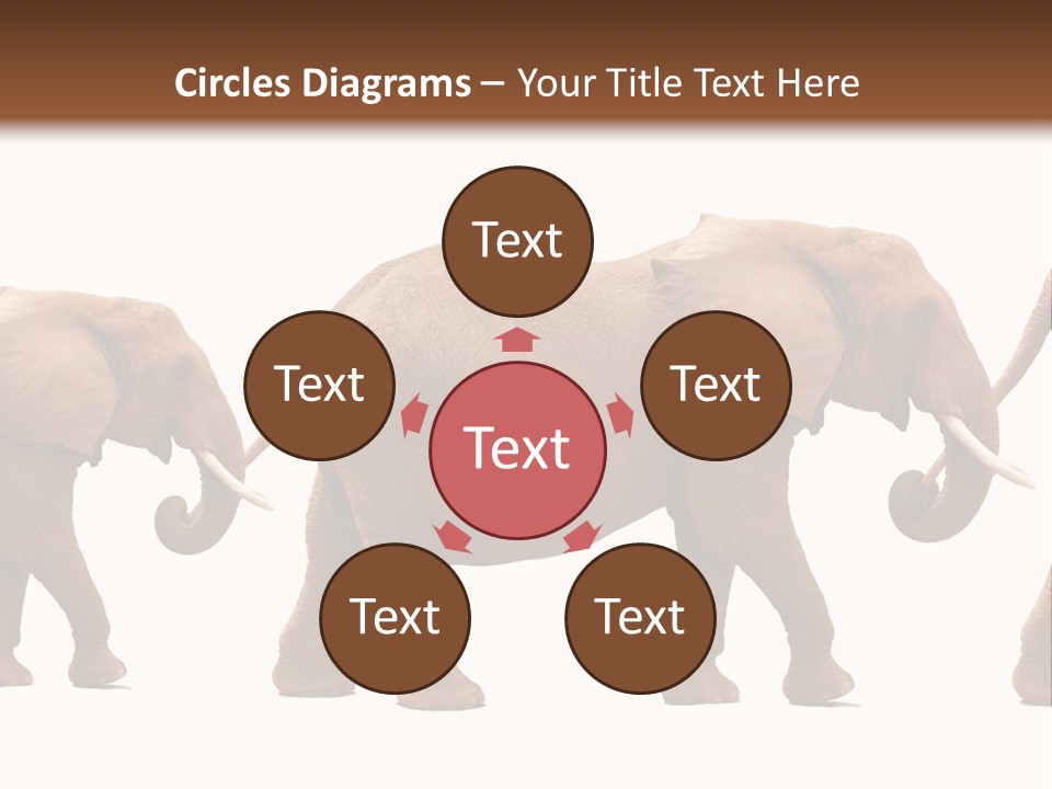 Conceptual Candidates March PowerPoint Template