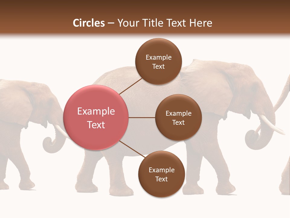 Conceptual Candidates March PowerPoint Template