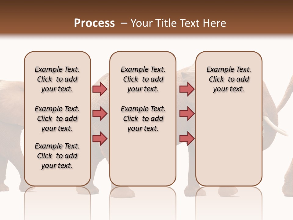 Conceptual Candidates March PowerPoint Template
