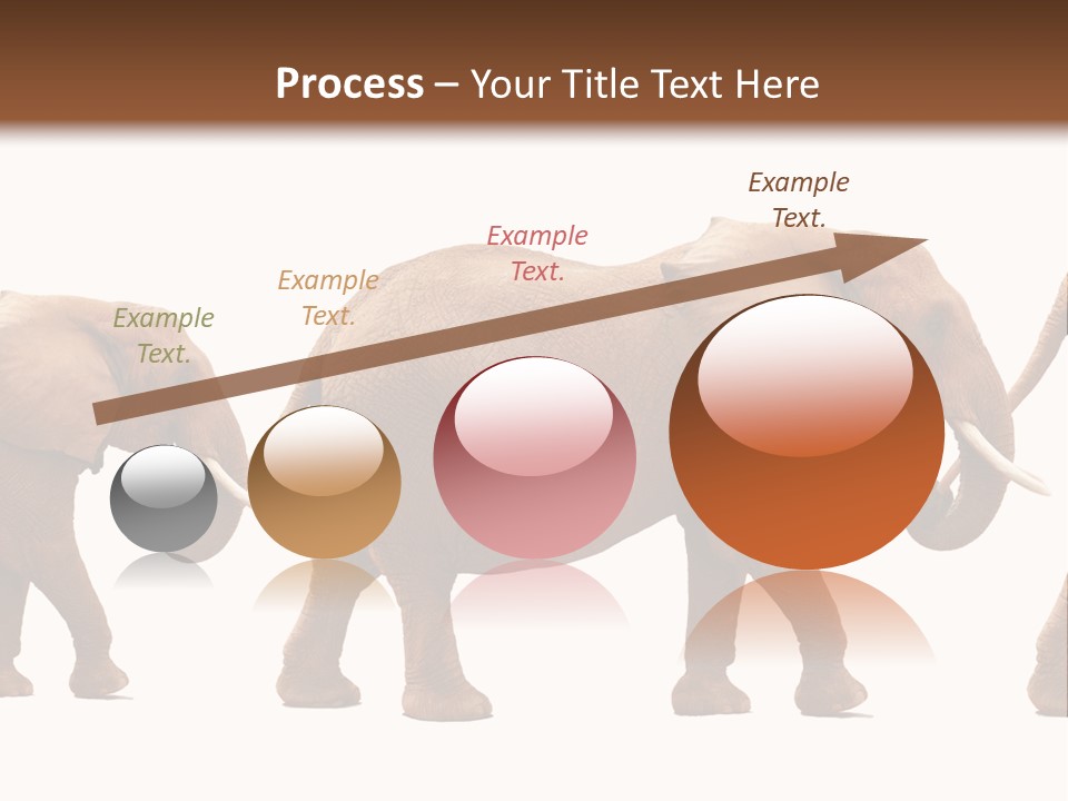 Conceptual Candidates March PowerPoint Template