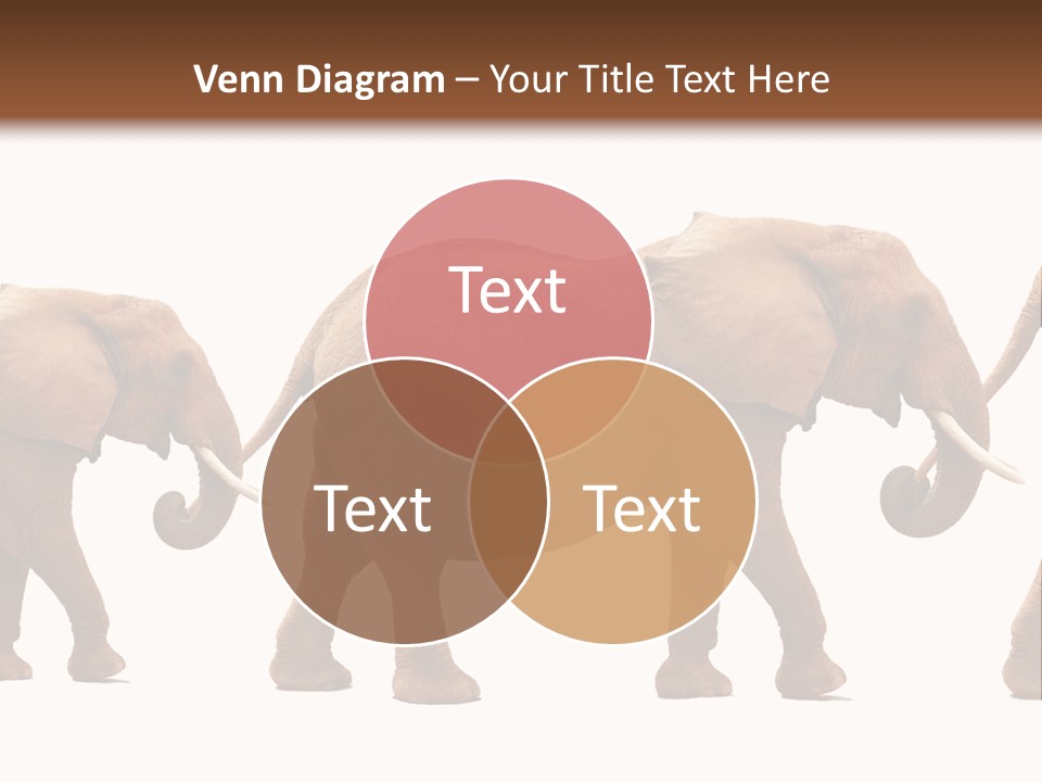 Conceptual Candidates March PowerPoint Template