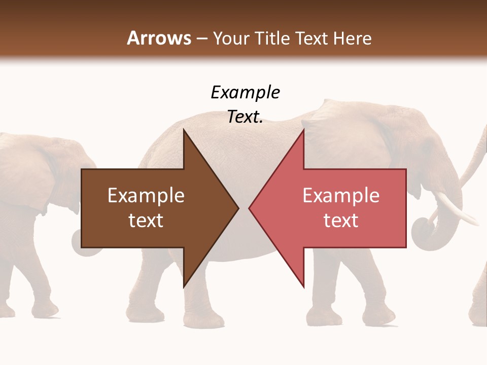 Conceptual Candidates March PowerPoint Template
