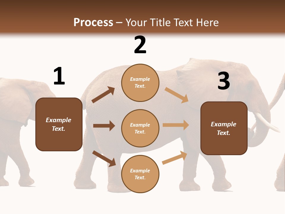 Conceptual Candidates March PowerPoint Template