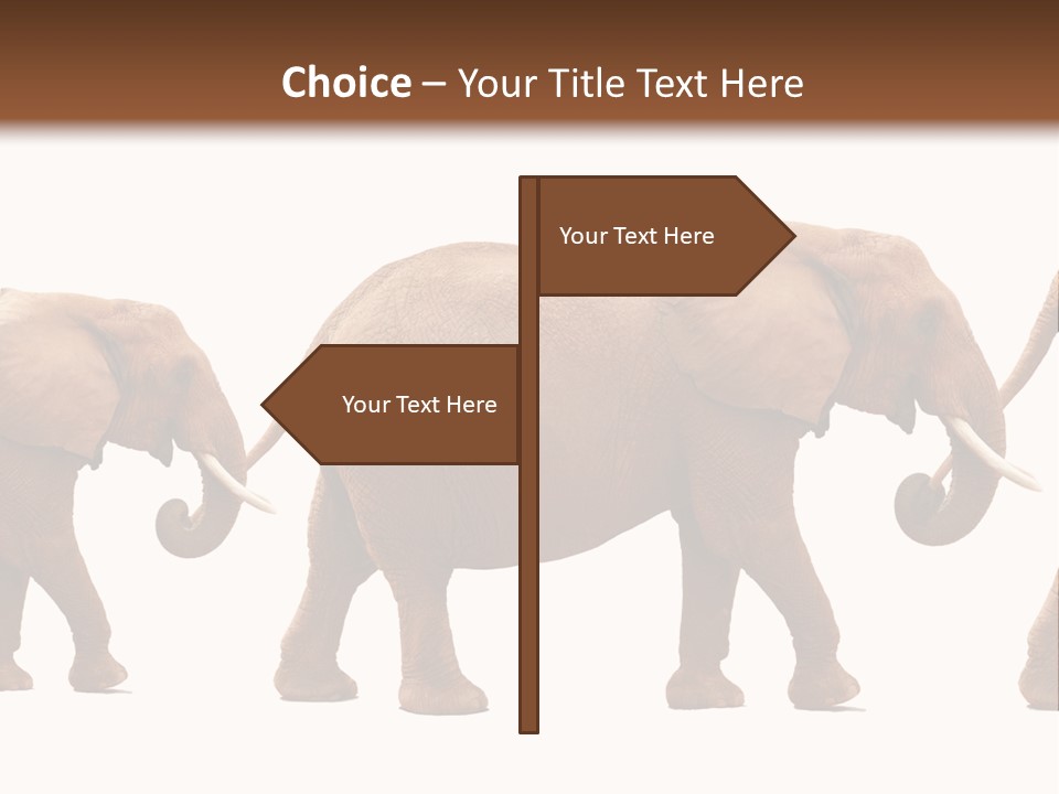 Conceptual Candidates March PowerPoint Template