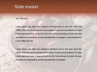 Tasty Restaurant Kalamata PowerPoint Template