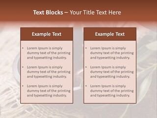 Tasty Restaurant Kalamata PowerPoint Template