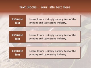 Tasty Restaurant Kalamata PowerPoint Template