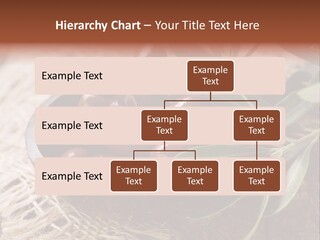 Tasty Restaurant Kalamata PowerPoint Template