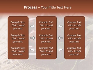 Tasty Restaurant Kalamata PowerPoint Template