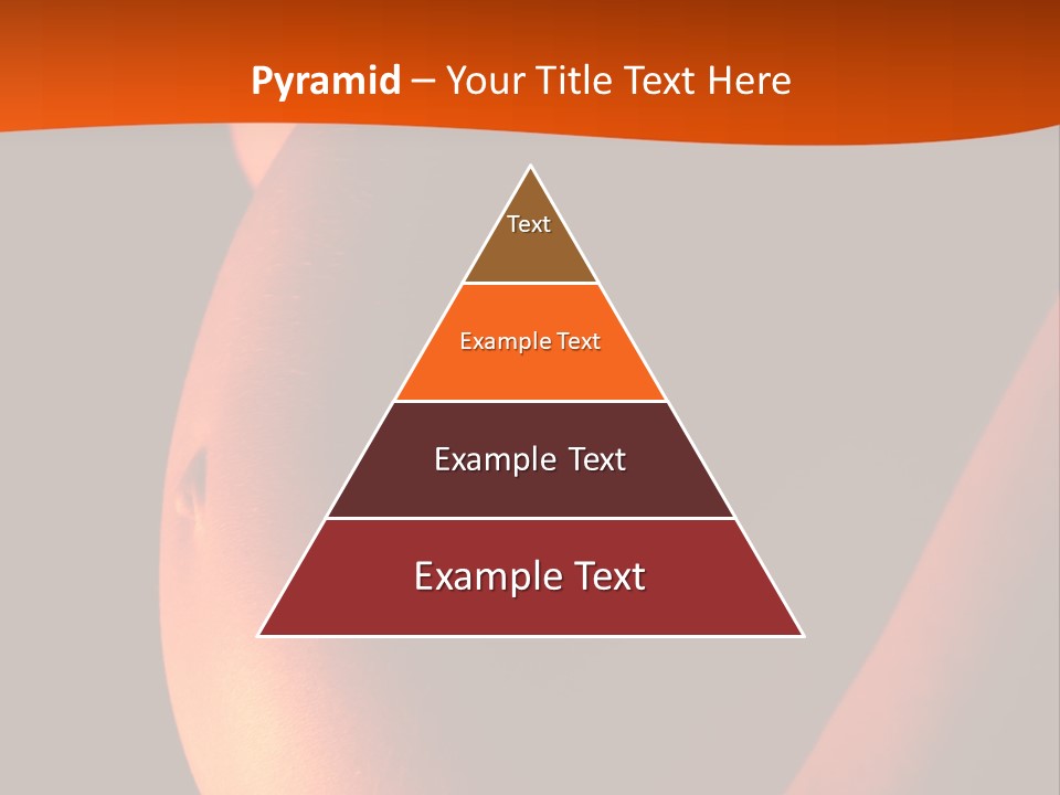 Belly Body Wait PowerPoint Template