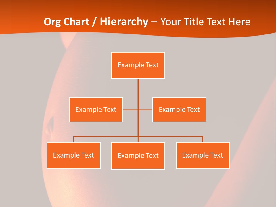 Belly Body Wait PowerPoint Template