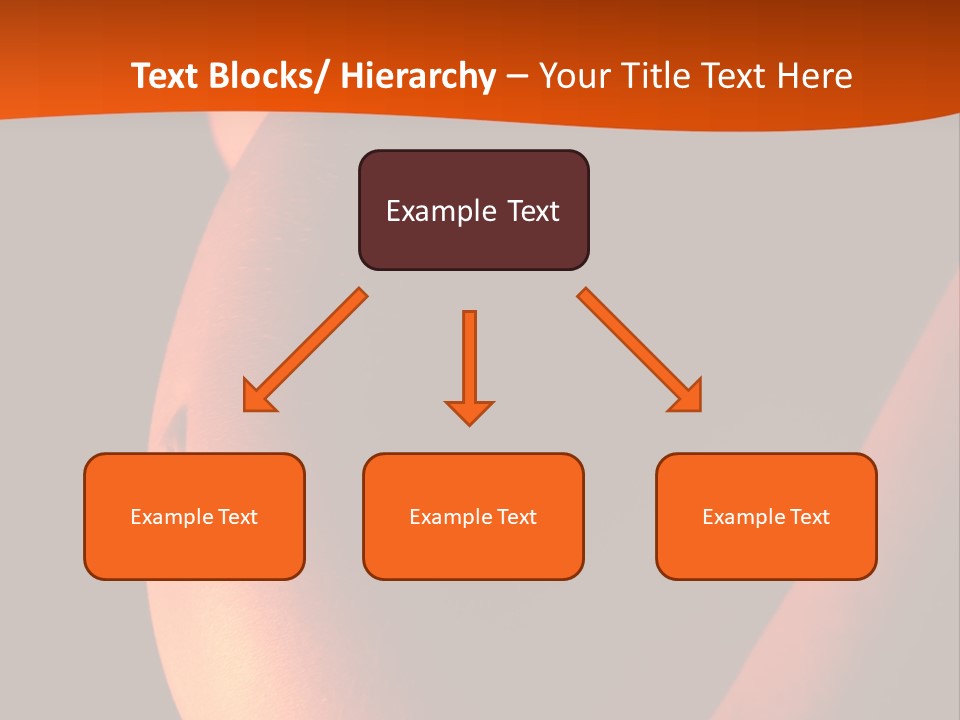 Belly Body Wait PowerPoint Template