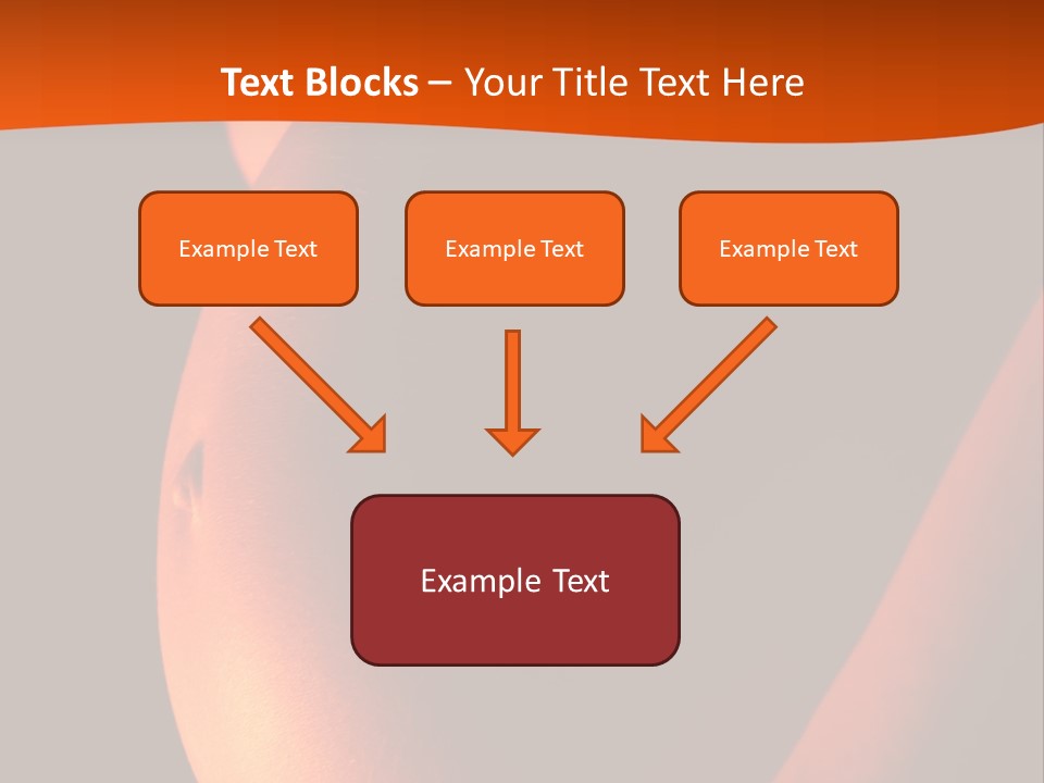 Belly Body Wait PowerPoint Template