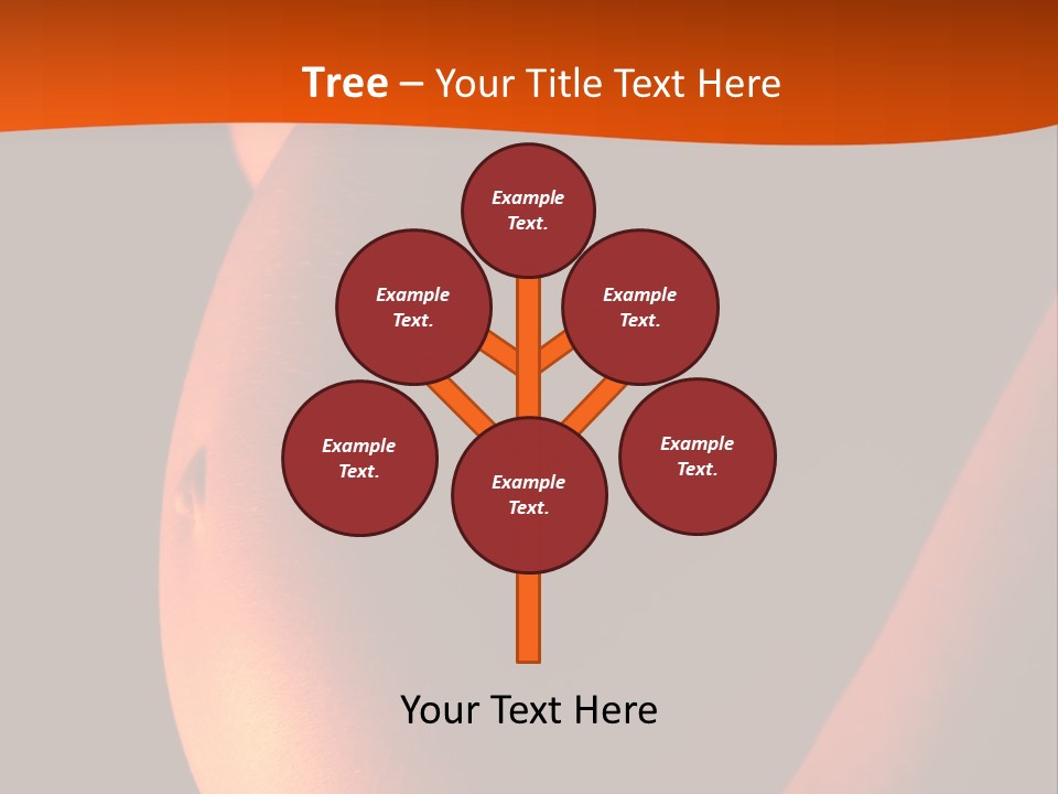 Belly Body Wait PowerPoint Template