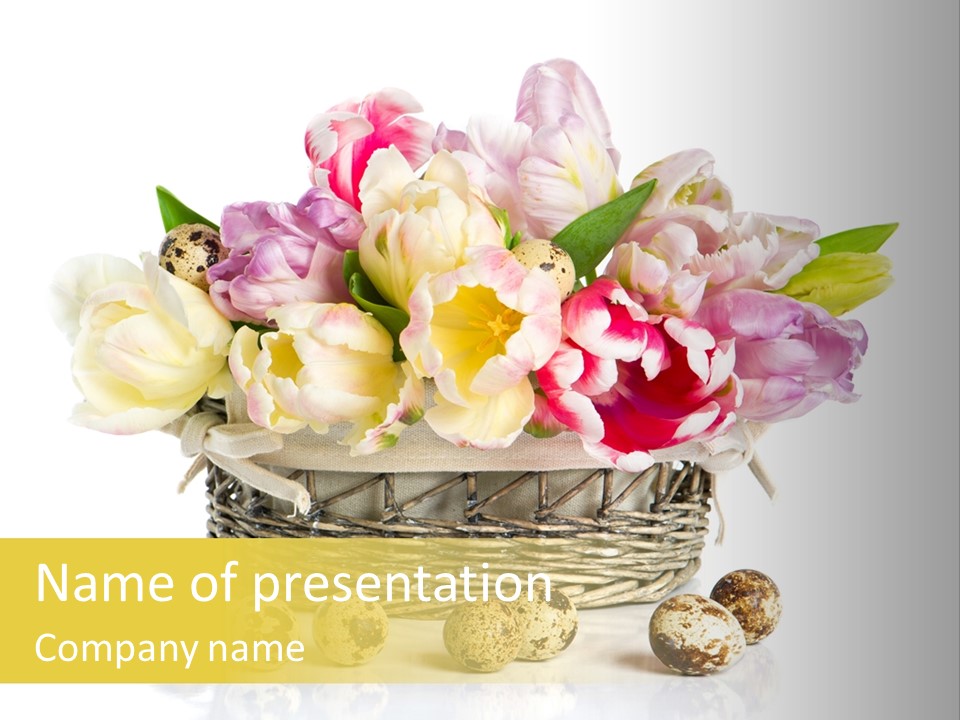 Flower Colorful Rose PowerPoint Template