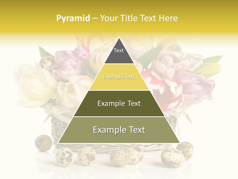 Flower Colorful Rose PowerPoint Template