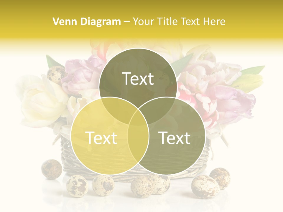 Flower Colorful Rose PowerPoint Template