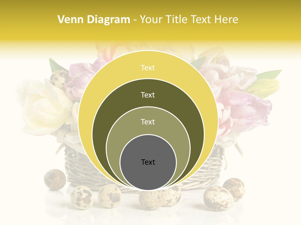 Flower Colorful Rose PowerPoint Template