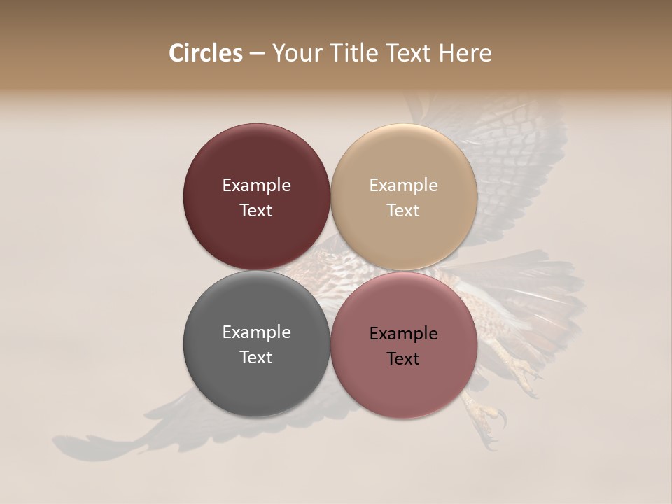 Wingspread Elegance Raptors PowerPoint Template