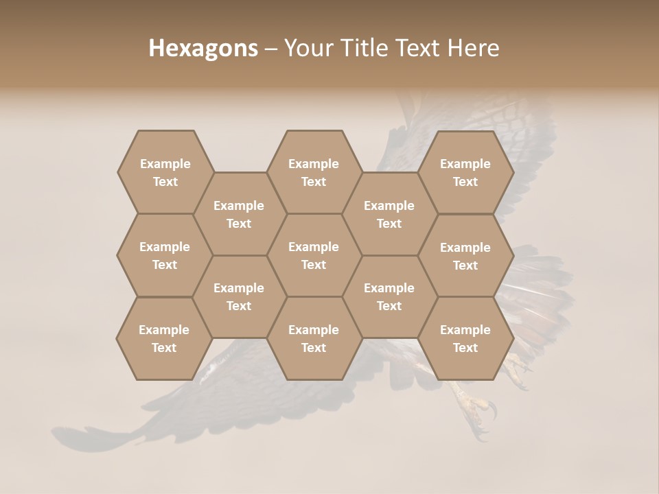 Wingspread Elegance Raptors PowerPoint Template