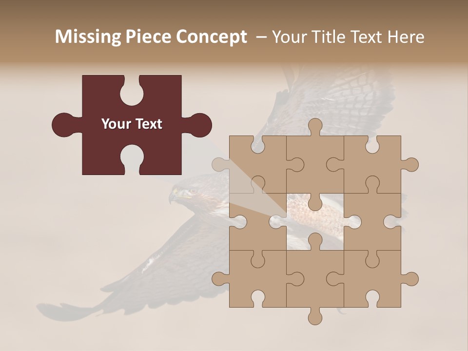 Wingspread Elegance Raptors PowerPoint Template