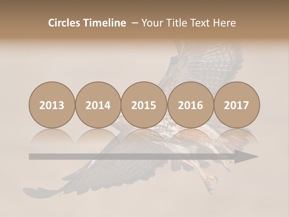 Wingspread Elegance Raptors PowerPoint Template