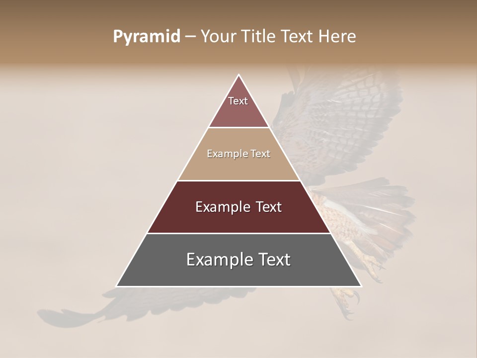 Wingspread Elegance Raptors PowerPoint Template