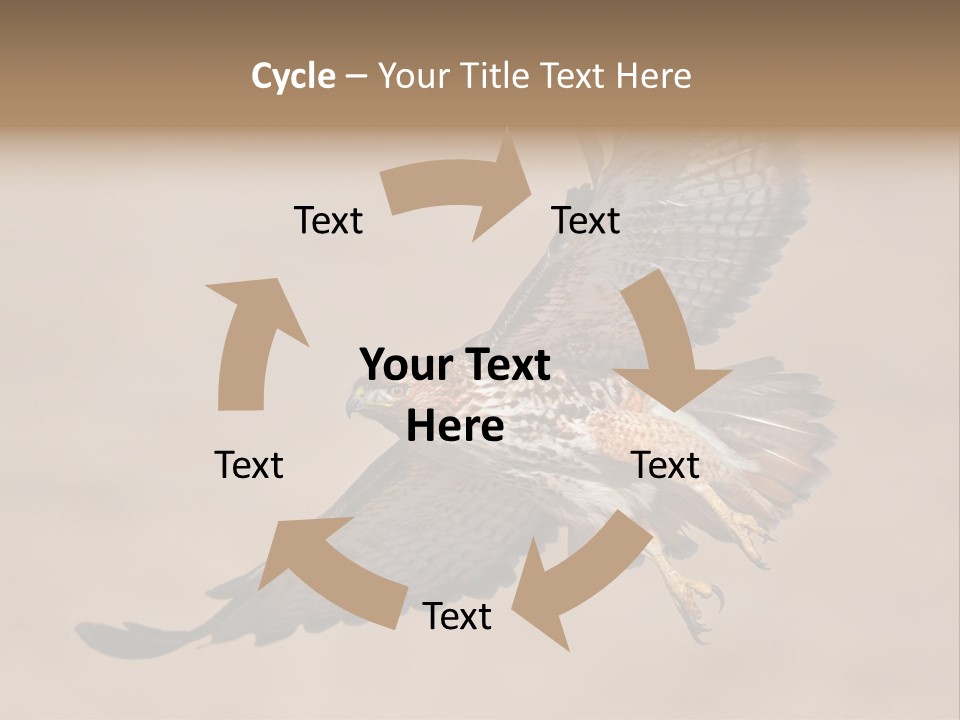 Wingspread Elegance Raptors PowerPoint Template
