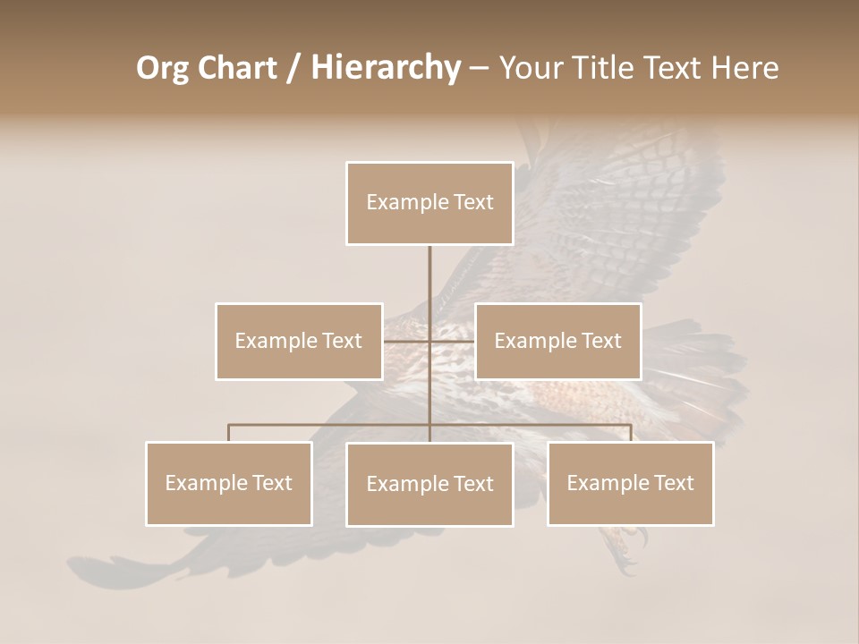 Wingspread Elegance Raptors PowerPoint Template