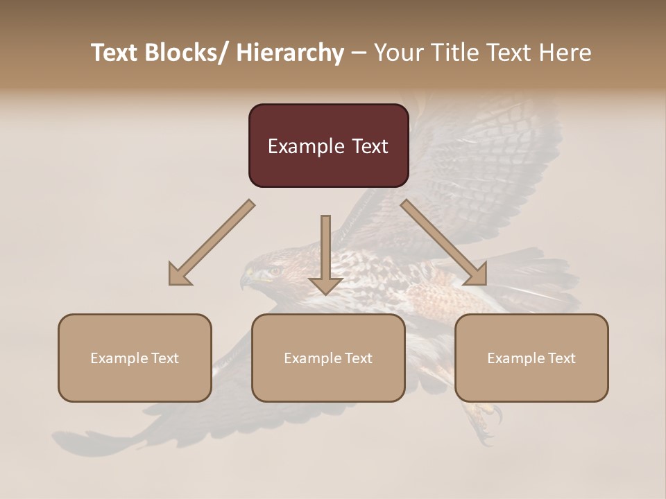 Wingspread Elegance Raptors PowerPoint Template