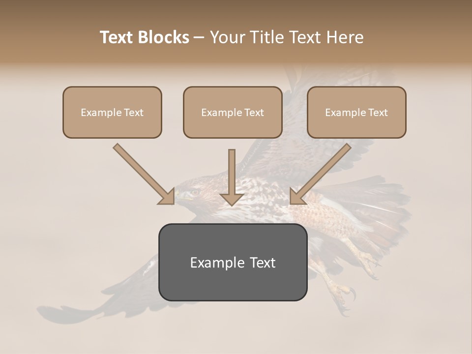 Wingspread Elegance Raptors PowerPoint Template