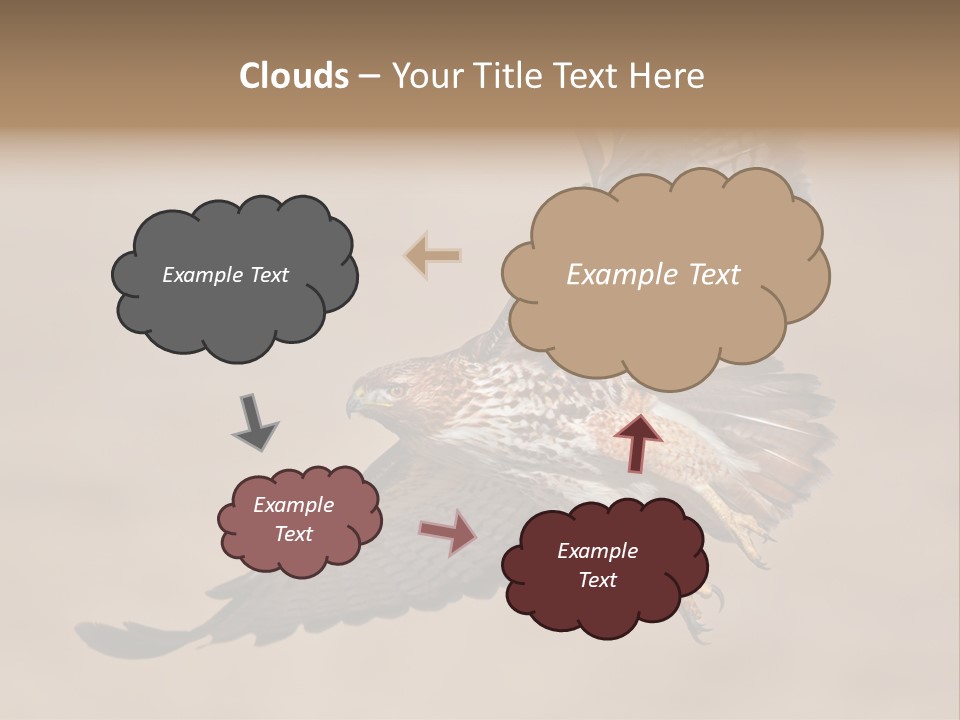 Wingspread Elegance Raptors PowerPoint Template
