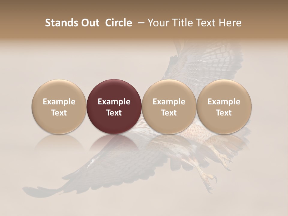 Wingspread Elegance Raptors PowerPoint Template