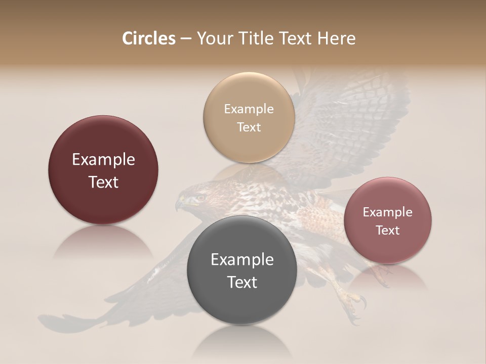 Wingspread Elegance Raptors PowerPoint Template