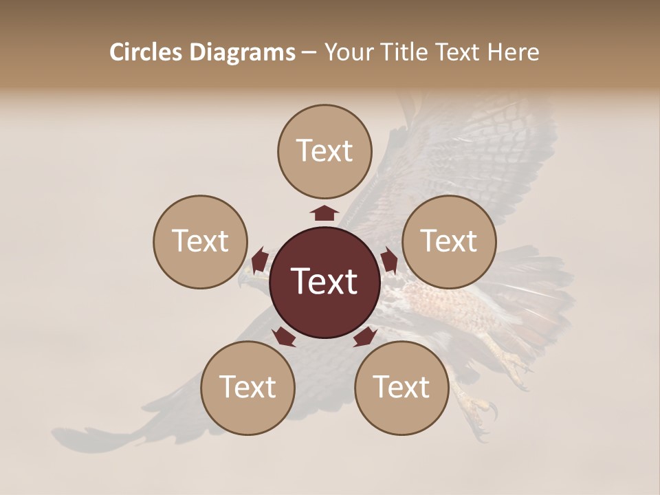 Wingspread Elegance Raptors PowerPoint Template