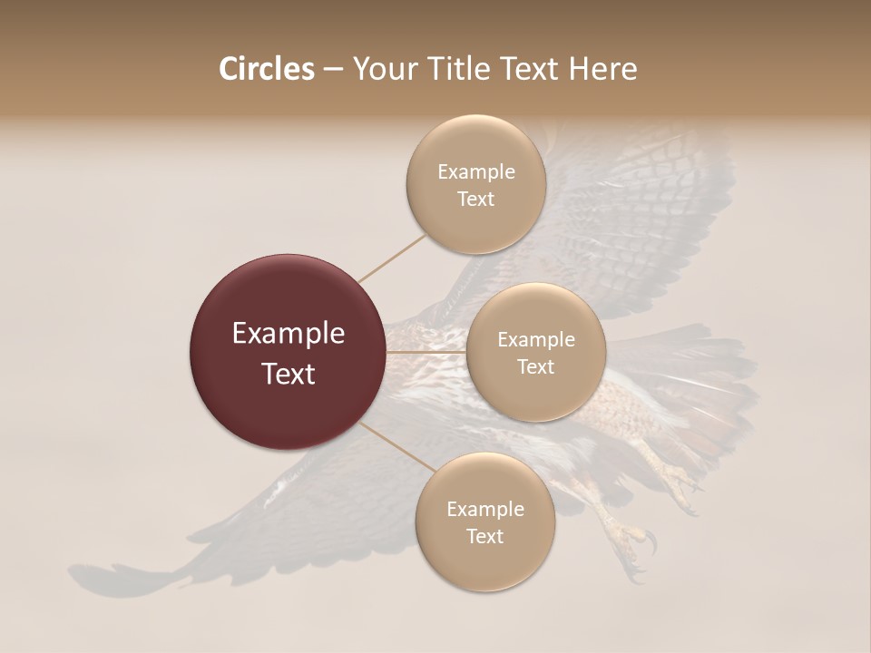 Wingspread Elegance Raptors PowerPoint Template