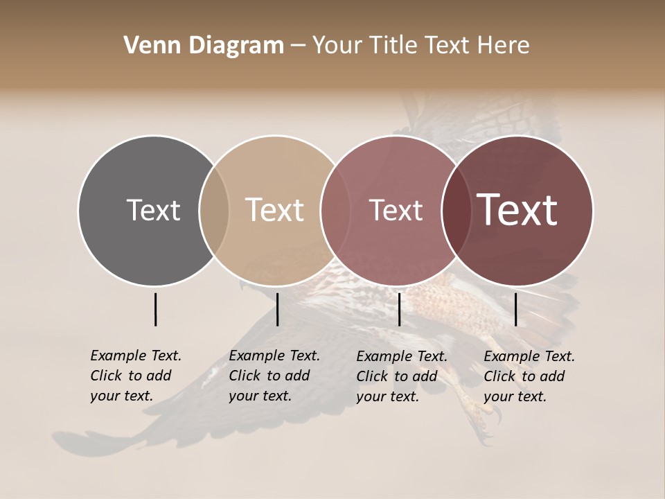 Wingspread Elegance Raptors PowerPoint Template