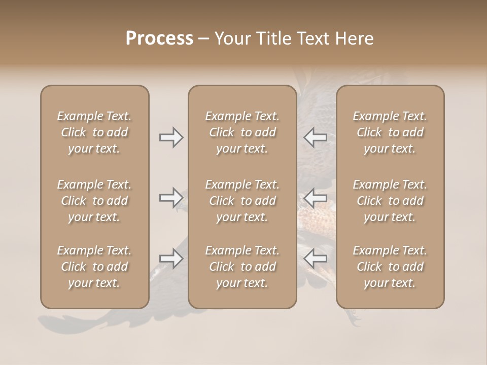 Wingspread Elegance Raptors PowerPoint Template