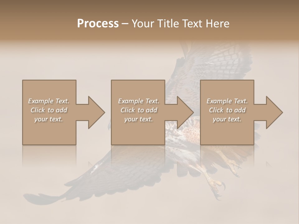 Wingspread Elegance Raptors PowerPoint Template