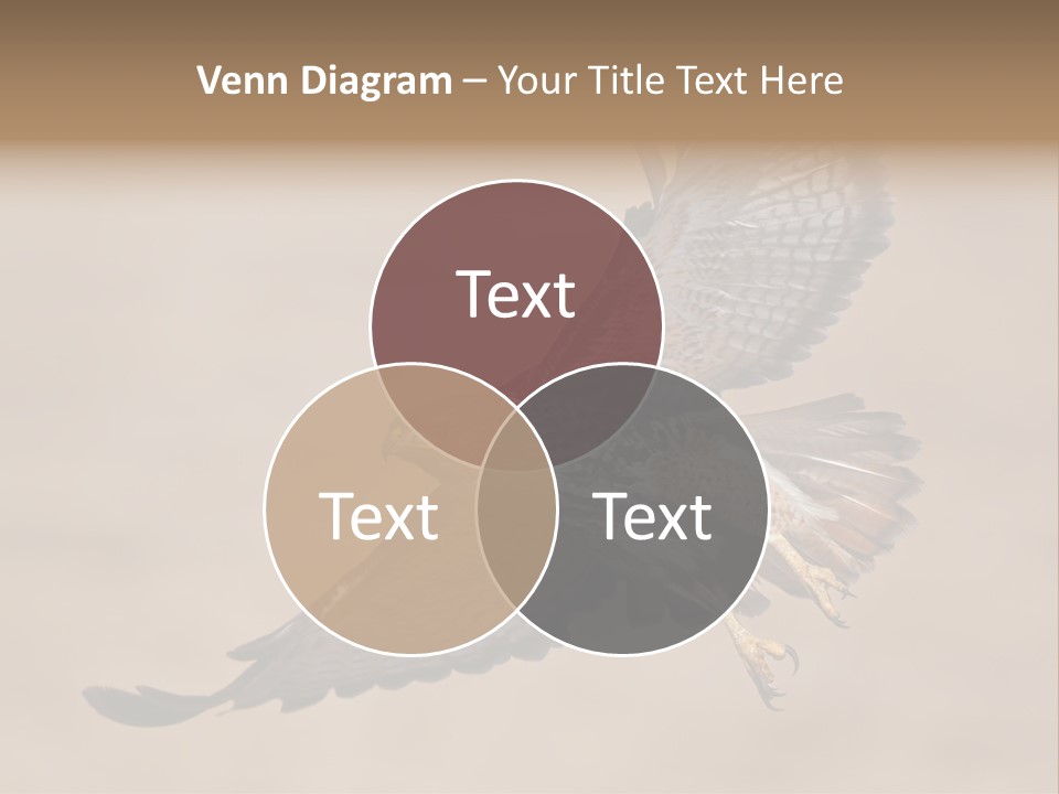 Wingspread Elegance Raptors PowerPoint Template